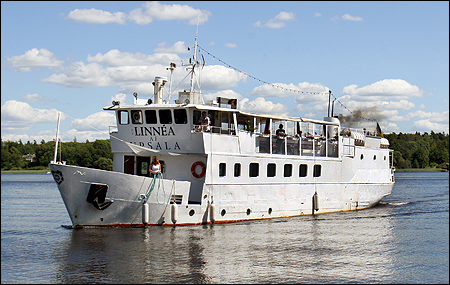 Linn�a av Uppsala vid Skokloster 2010-07-02