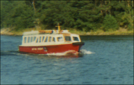 Sjöbjörn i Söderbysundet, Runmarö 1972