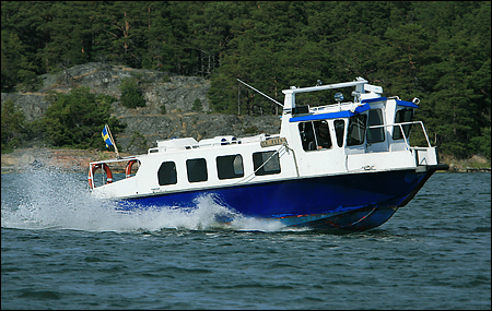 Skarven vid St Oxelholmen, Runmar� 2008-07-31