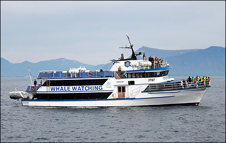 Andrea utanf�r Reykjavik, Island 2014-04-08