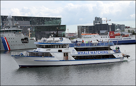 Andrea i Reykjavik, Island 2014-04-08