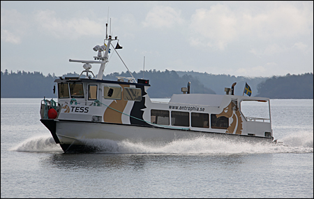 Tess vid Viggs�, V�rmd� 2016-09-03