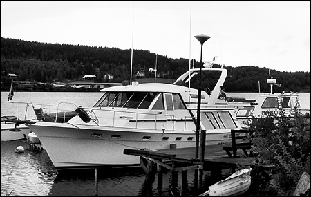 Lady Bothnia i Ull�nger 1991-07-11