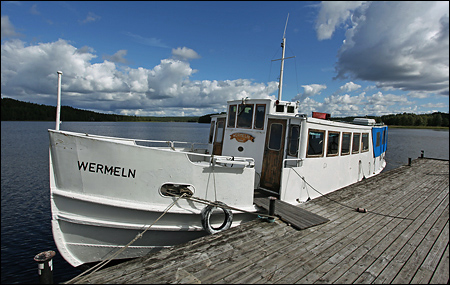 Wermeln vid Skutboudden, Brunskog 2011-08-06