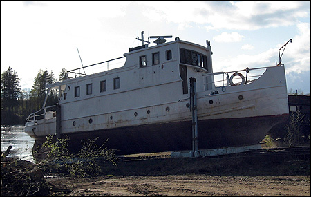 Stor-Nila p� �n, Ume� 2008-05-15