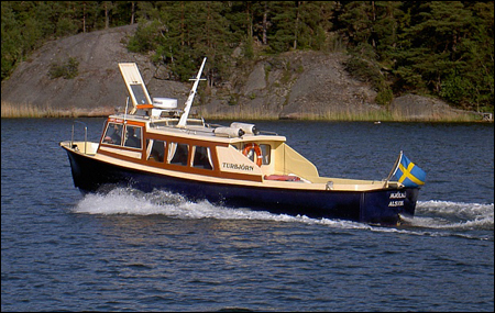 Turbj�rn vid St Timrar�, �ster�ker 2006-06-11