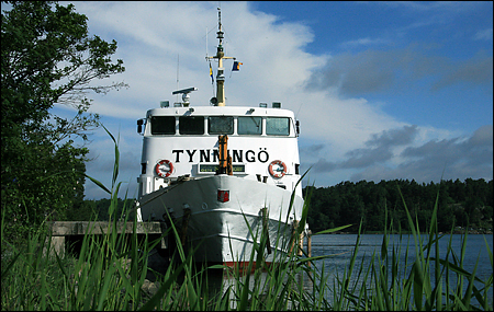 Tynning vid Ramsbergs brygga, Rams 2007-06-24