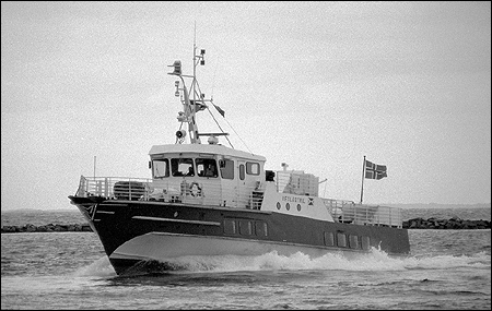 Veslestril i Malm� 1984-07