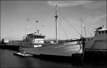 Wittsk�r i Simrishamn 1990-04-30