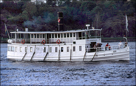Elfkungen vid Sörhallsberget, Göteborg 2005-10-02