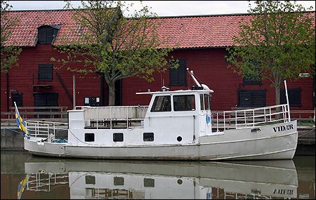 Vidar i Enk�ping 2008-05-03