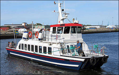 Visk�r i Norrk�ping 2019-06-29