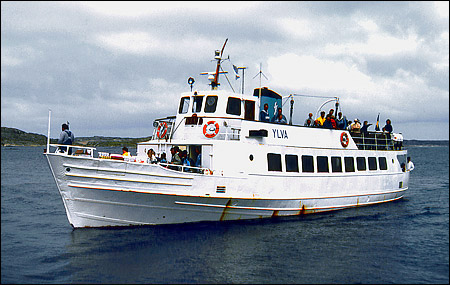 Ylva af K�ring�n vid K�ring�n